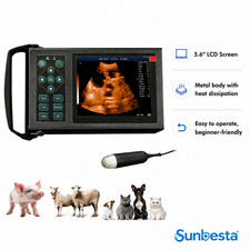 M10 Portable Vet Ultrasound for Dog Pregnancy Testing Durable and User-Friendly picture