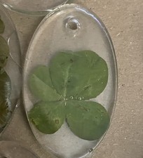 Rare Real Five Leaf Clover Cured At 888Hz picture